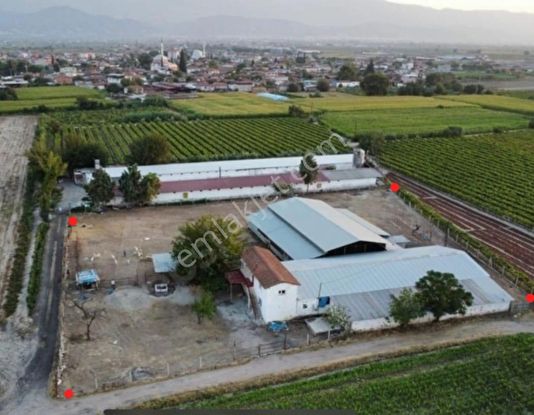 Manisa Salihli Satılık Büyükbaş-küçükbaş Hayvan Çiftliği