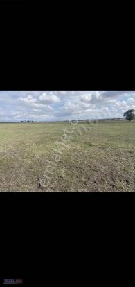 Saray Beyazköy 1726 Metre Tek Tapu