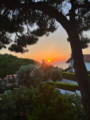 Ardıç Denize Sıfır Özel Plajlı Sitede Denize Sıfır Köşe Villa