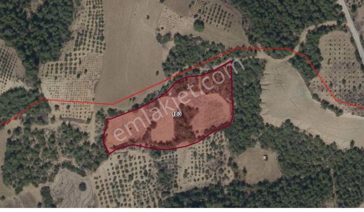 Karaisalı Emelcikte 11250 M2 Satılık Bağ