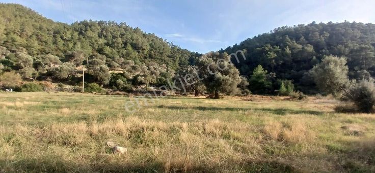 Bodrum Yalıçiftlik 4932 M2 Turizm İmarlı Arsa