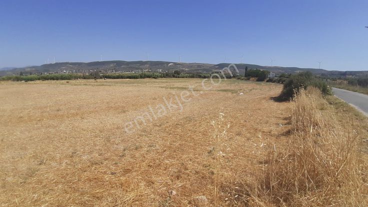 🌿 Dıdım Akköy Mahallesinde Göl Manzaralı Satılık Tarla 🌿