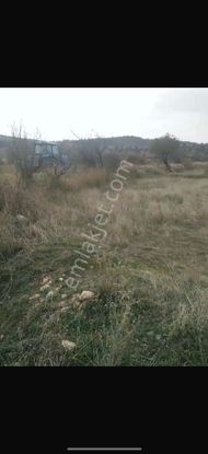 Denizli Çardak İlçesinde Satılık Bahçe