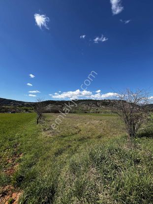 Muğla Menteşe Yenibağyaka Mah. 1.215 M2 Tarla