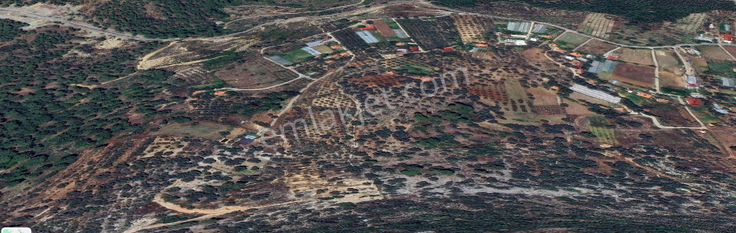 Goldhouse Dan Satılık Dalaman Da 802 M2 Tarla