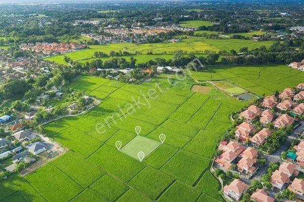 Tefenni Merkez Zafer Mah. 901 M² Satılık Arsa