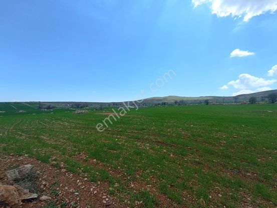 Meram Sarıkızda Müstakil Tapulu 8.202 M2 Tarla