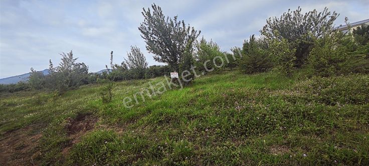 Aker Emlaktan Kuzuluk En Güzel Parseli