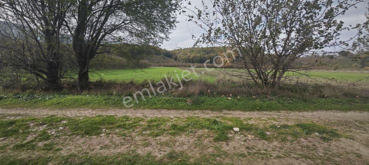 Evsane Manzara Müstakil Tapu