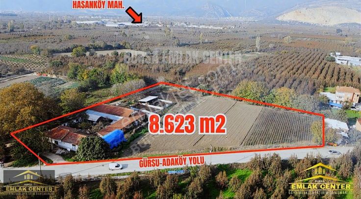 Gürsu Da Satılık Çiftlik Ve Arazisi