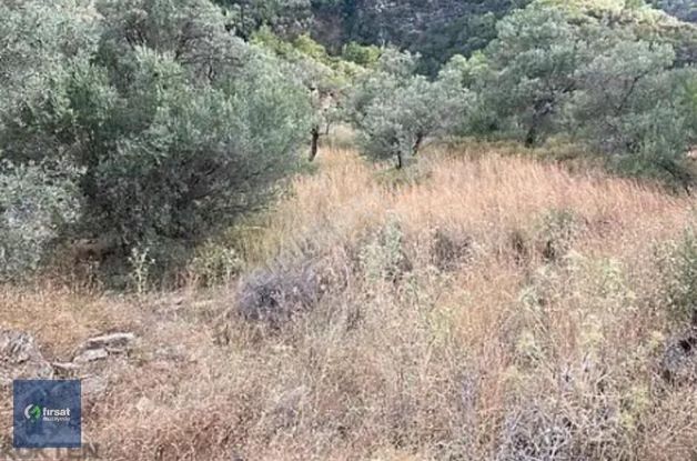 Alırken Kazanmanın Adresi ''fırsat Müzayede''