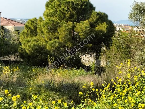 Alaçatı Hacımemiş'de Satılık Köşe Arsa