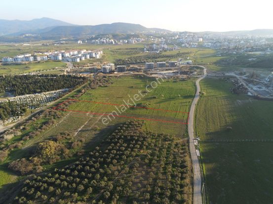 Kültürde Satılık Tarla