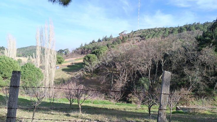 Doğa İçinde Yaşam İsteyenler