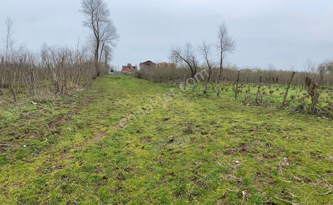 Sahibinden Terme/evci/miliç Satılık Arsa