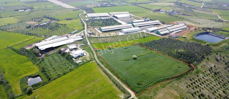 Tire De Merkez Yakın Emsalsiz Tarla