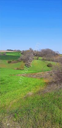 Emlakyap Tan Silivri Bekirli De Satılık Tarla