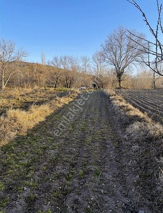 Kızık Ta Düşük Bütçeli 114 M2