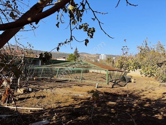 Türkoğlunda Konut İmarlı Satılık Arsa