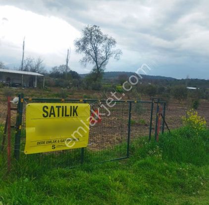 Acil Satılık Bağyolunda Tarla