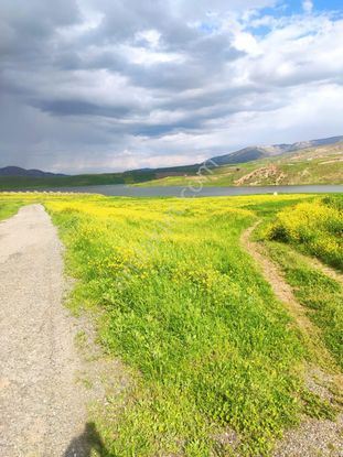 Sahibinden Hasankeyfte Göl Manzaralı, Asfalt Cepheli Satılık Tek Tapu Tarla