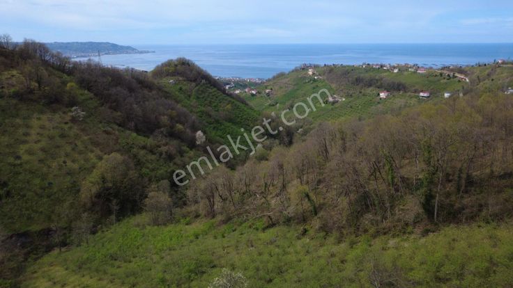 Trabzon Vakfıkebirde Satılık Arazi