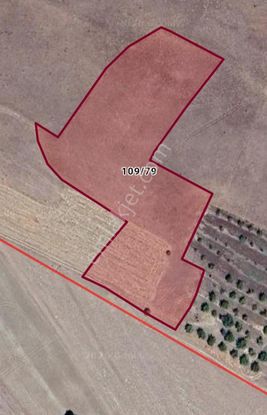 Hankendi Gözpınarın'da Satılık Manzaralı Tarla...