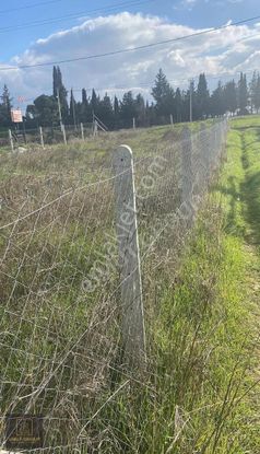 Fenerköyde Satılık 300m2 Hisse