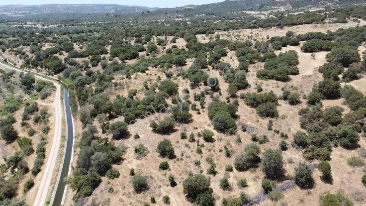 Çanakkale Ayvacık Behramkale Satılık Tarla 25.234 M2