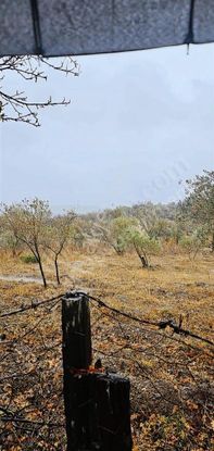 Akbük Koyuna En Yakın Mahallede Satılık Tarla