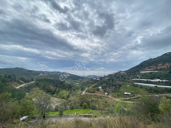 Alanya Hacı Kerimlerde 'de Satılık 3.000 M2 Tarla