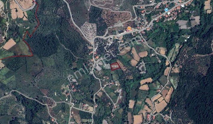 Elvan Özçelik'den Ören Dereköyde Satılık Düz Tarla