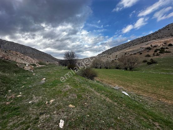 Erzincan İliç Ortatepe Köyünde Satılık Tarla