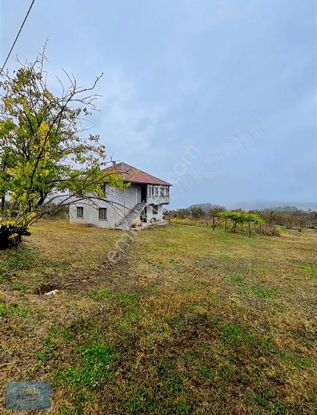 Akyazı Yörükyeri İmarlı Ev Fındıklık Arsa