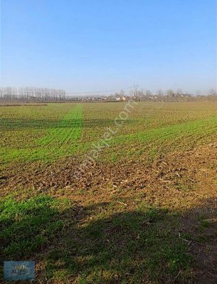 Akyazı Harunusta Satılık Tarla