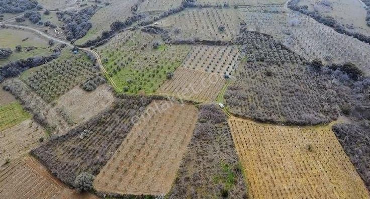 Karaağaç'ta Yatırımlık Bağ