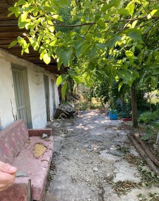 İçin De Evi Olan Tarla