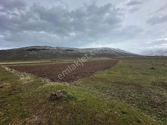 Ağrı Patnos'ta Satılık Tarla