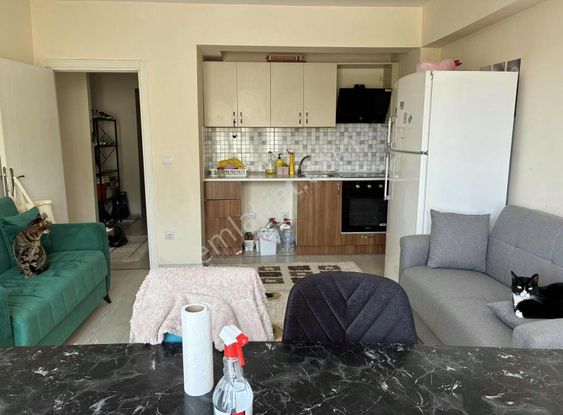 Hılıstanbul Konaklarıde Satılık Daıre.