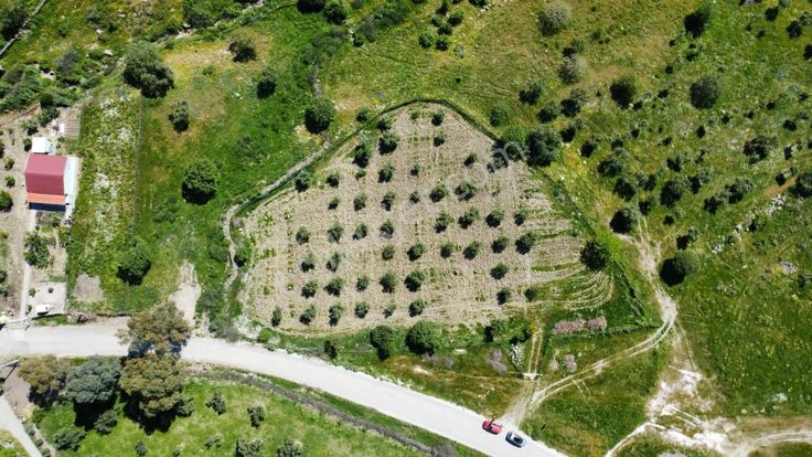 Çoraklar'da 1300 M² Köy İçinde Tarla
