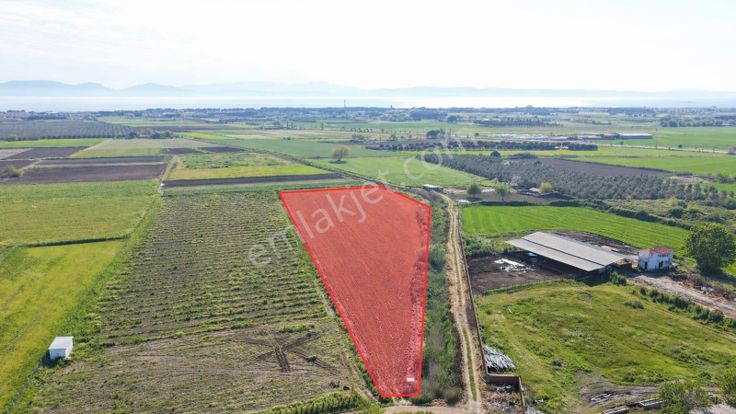 Ayvalık Altınovada Satılık 12.708 M² Arazi