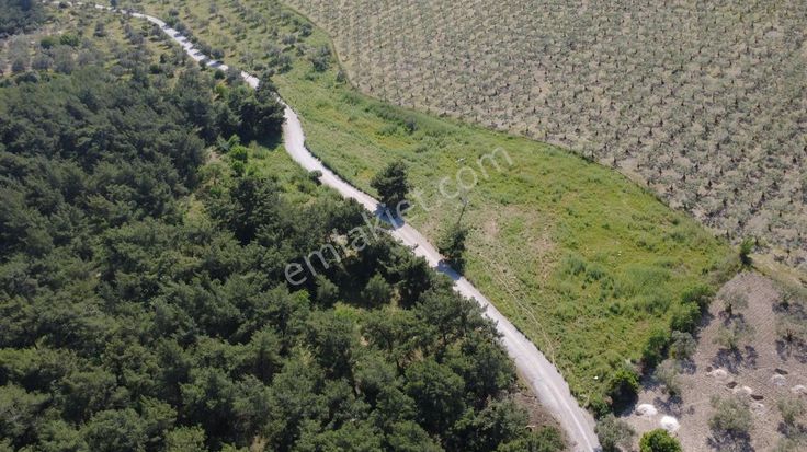 Yola Cephe 7000m2 Tek Tapu Arsa
