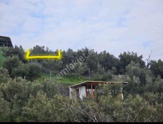 Mudanya Işıklı Da Müstakil Tapulu Bahçe