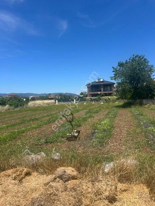 Muğla Ortaca Okçular'da Satılık 506m² İmarlı Arsa