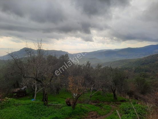 Tamer'den Adatepebaşında Full Deniz Manzaralı Satılık Arsa