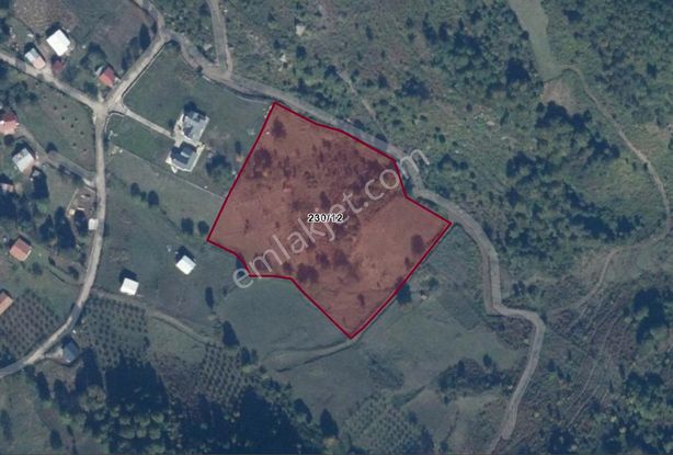 Fırsat ! Satılık 3.500 M2 Tarla Sakarya / Hendek