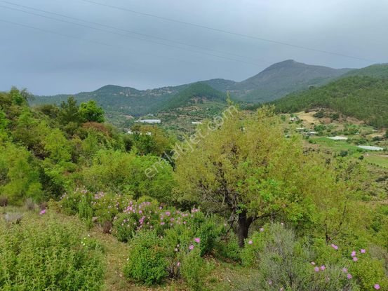 Mersin Anamur Melleç Satılık Tarla