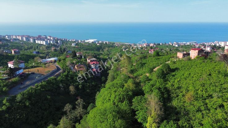 Trabzon'da Satılık Arsa