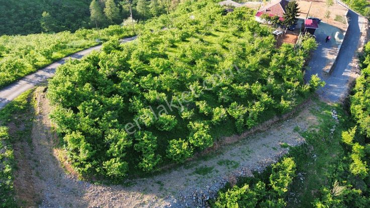 Trabzon'da Satılık Arsa