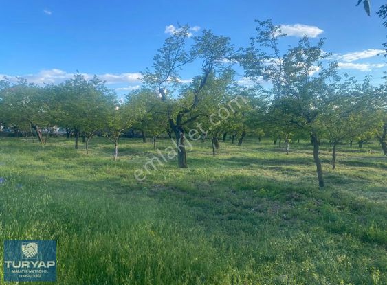 Turyap Metropol'den Topsöğüt'de Satılık İmarlı Arsa